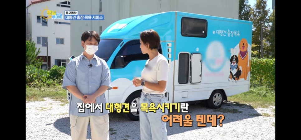 대형견 출장 미용 & 목욕, 멍빨DAY로 스트레스 없이! — 사진 12