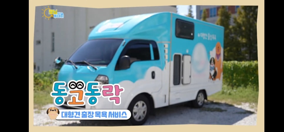 대형견 출장 미용 & 목욕, 멍빨DAY로 스트레스 없이! — 사진 11