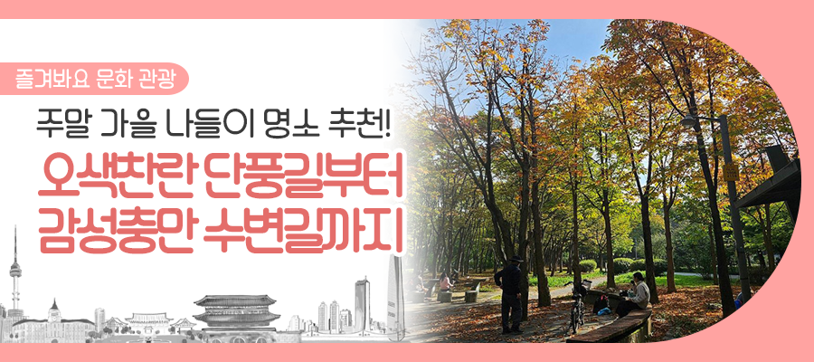 브로콜리 지역정보 관련 사진 1