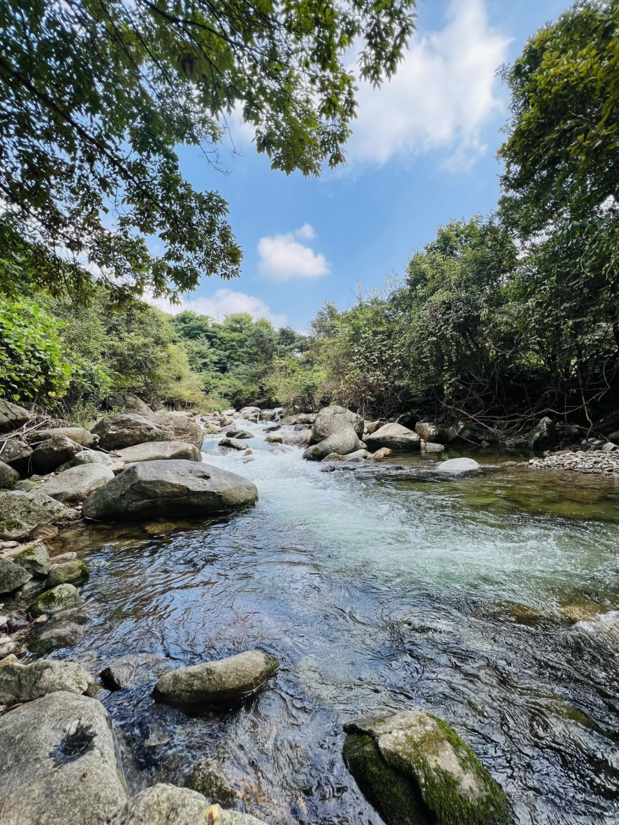 파라디소펜션 이미지