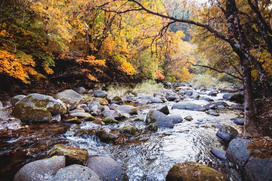 파라디소펜션 이미지