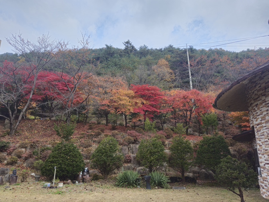 파라디소펜션 이미지