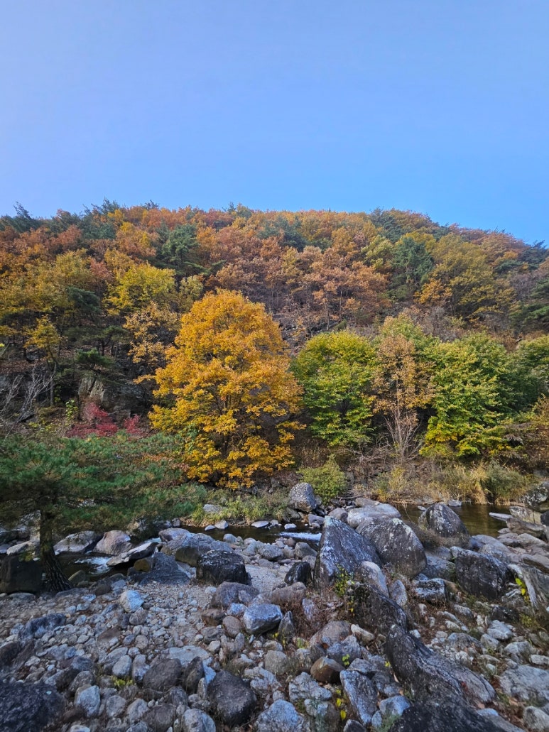 산마루펜션 이미지