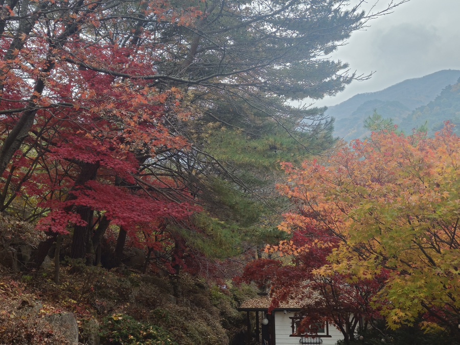 파라디소펜션 이미지