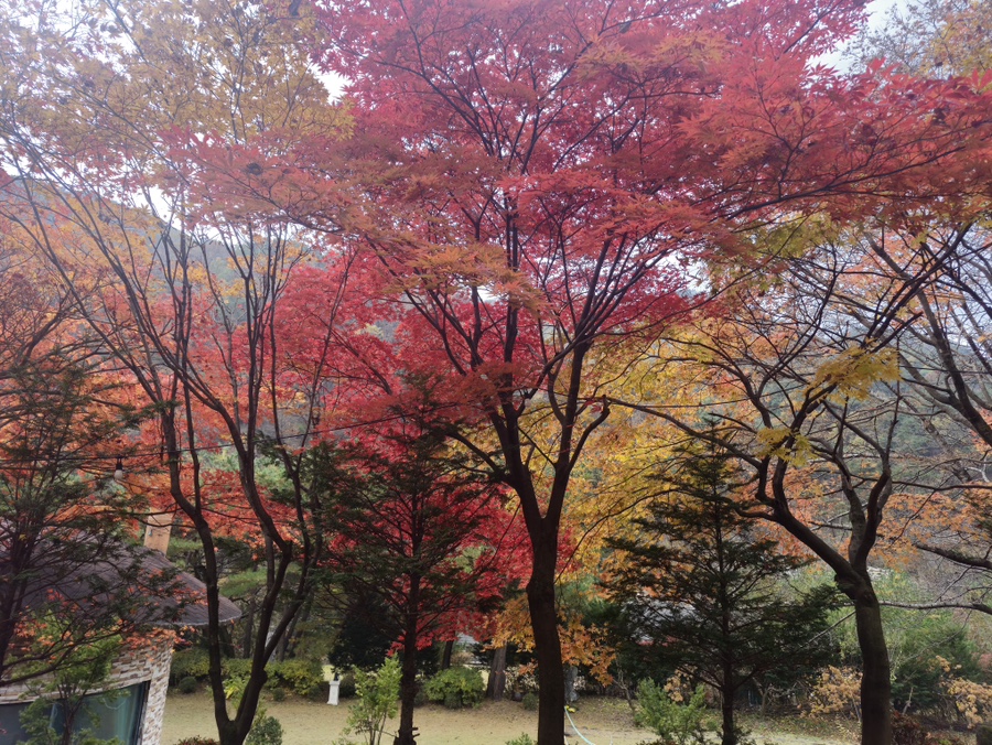 파라디소펜션 이미지