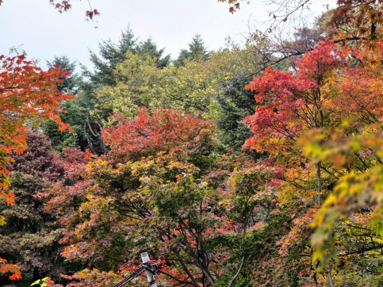 남산순두부 사진 8