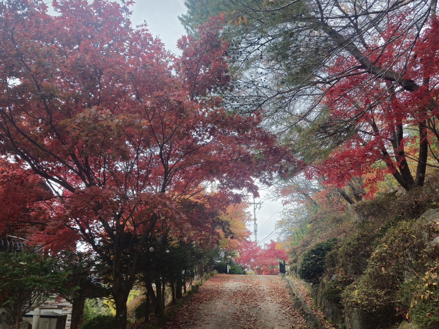 파라디소펜션 이미지