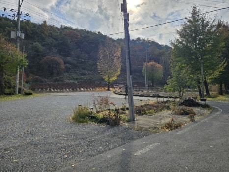 콩이랑곤드레 이미지