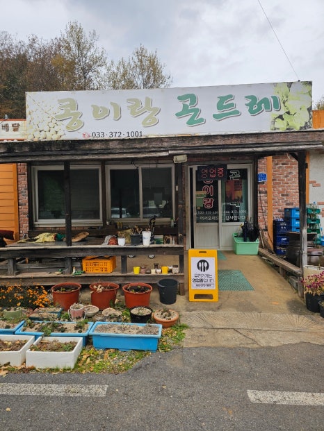 콩이랑곤드레 이미지