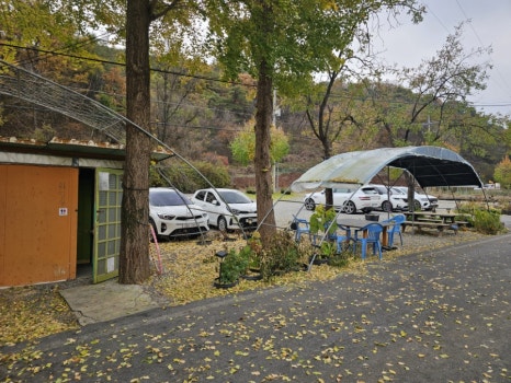 콩이랑곤드레 이미지