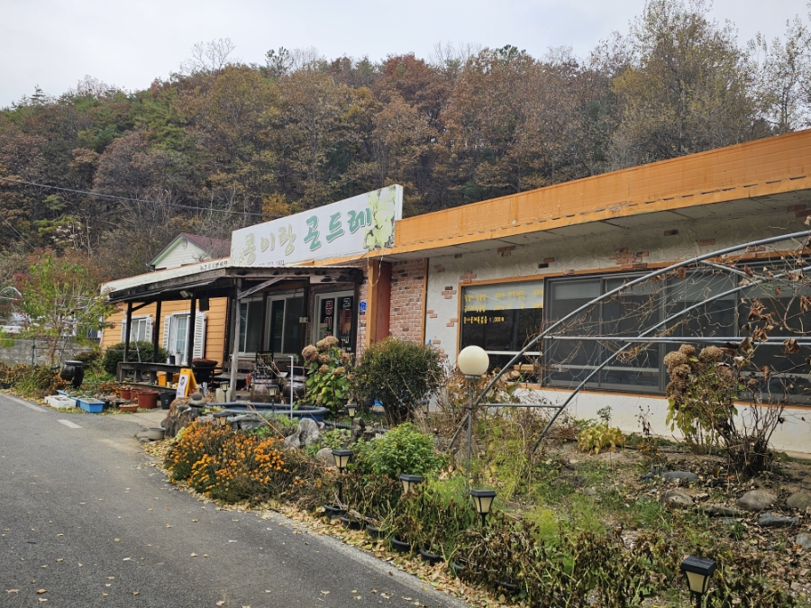 콩이랑곤드레 이미지