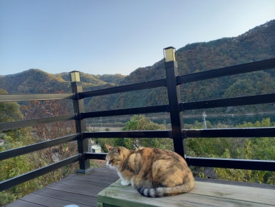 도담게스트하우스 이미지