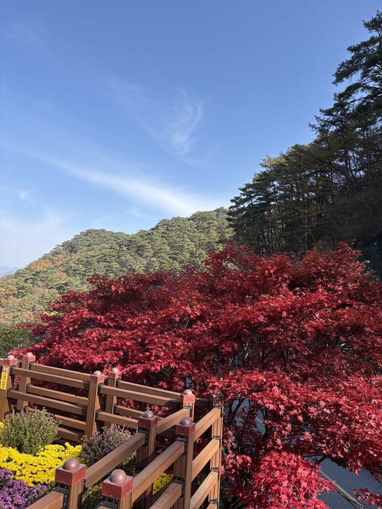 보발재전망대 이미지