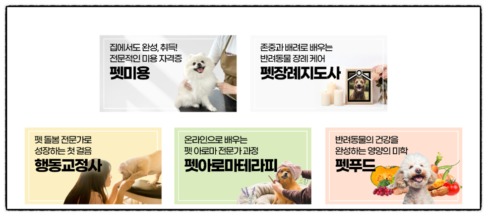 성남 애견미용학원 국비 vs 특별지원 비교 및 창업 과정 — 사진 3
