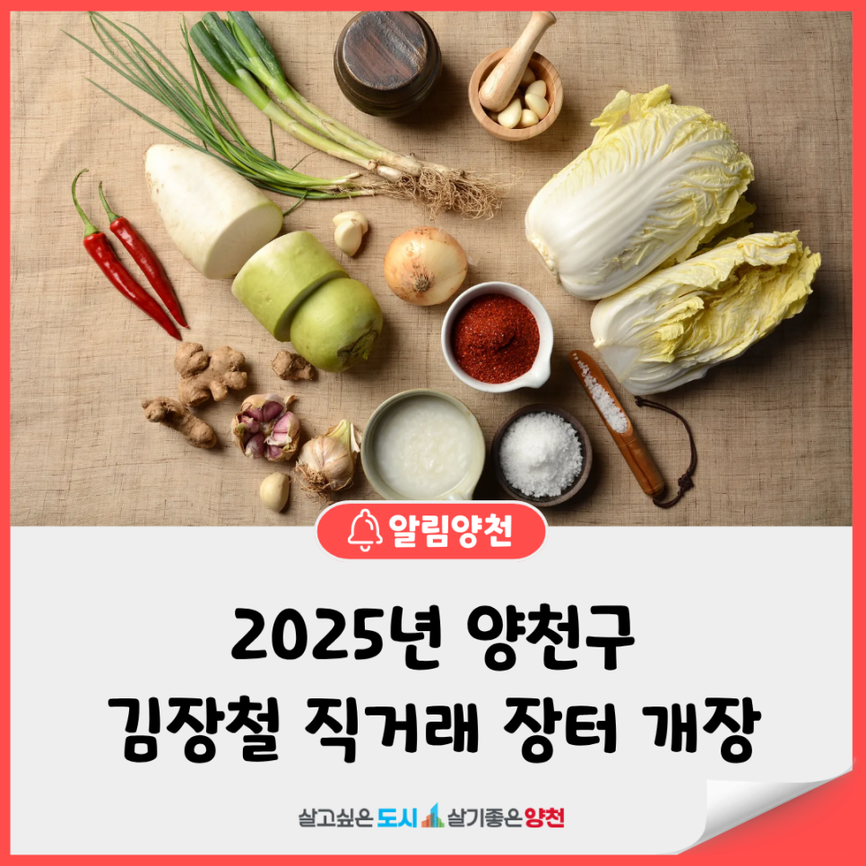 브로콜리 지역정보 관련 사진 4