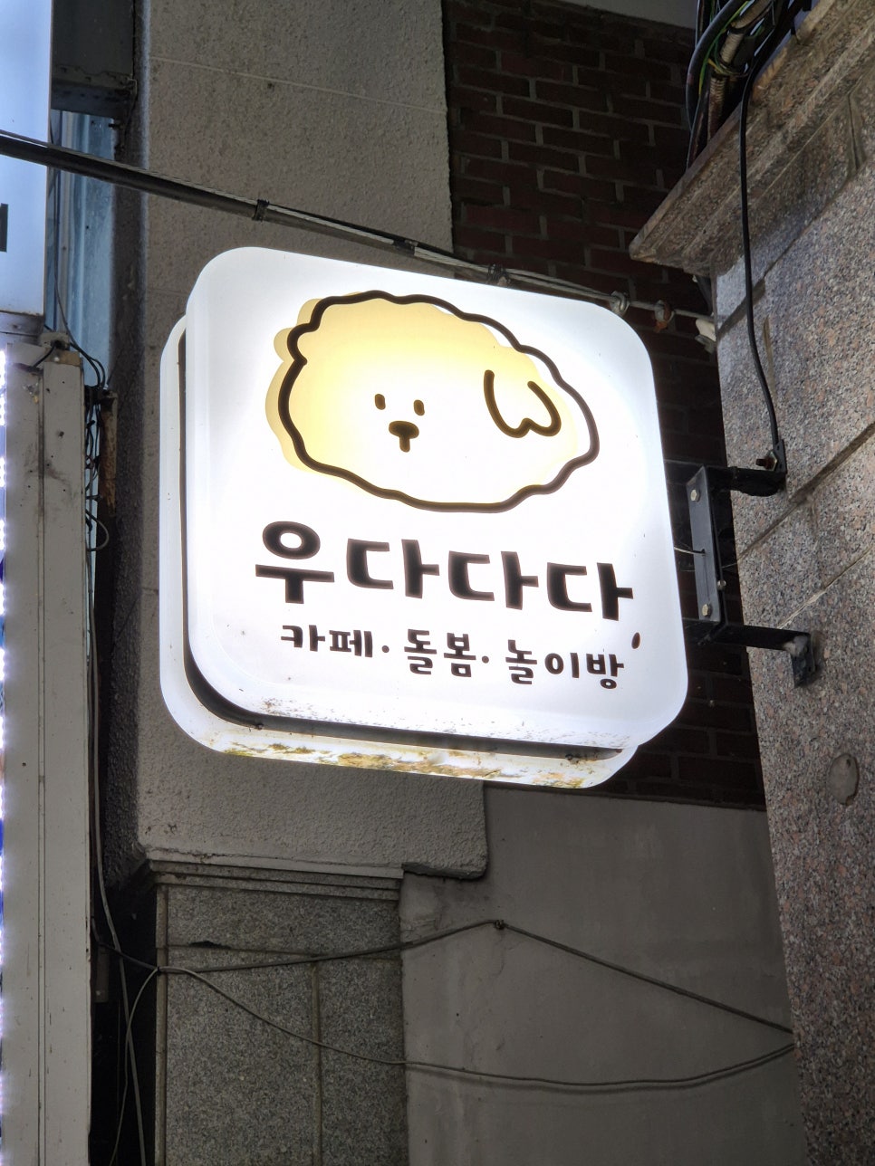안산 고양이카페 우다다다: 교감하며 힐링하는 특별한 시간 — 사진 3