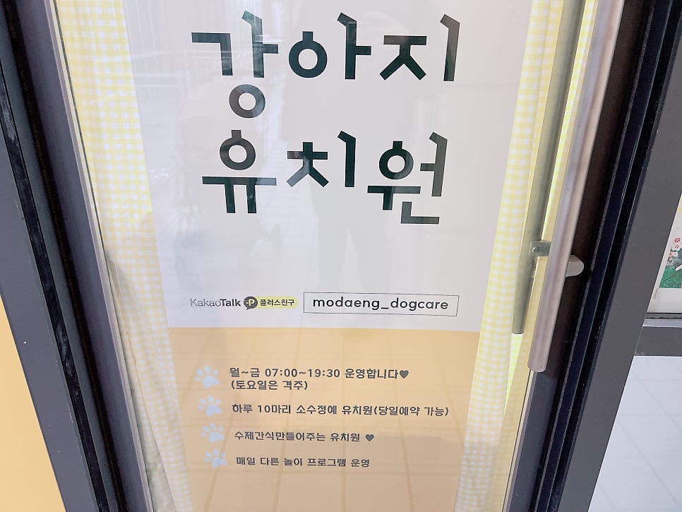 김포 강아지 유치원 모여라댕댕이: 사회성·훈련 효과 — 사진 3