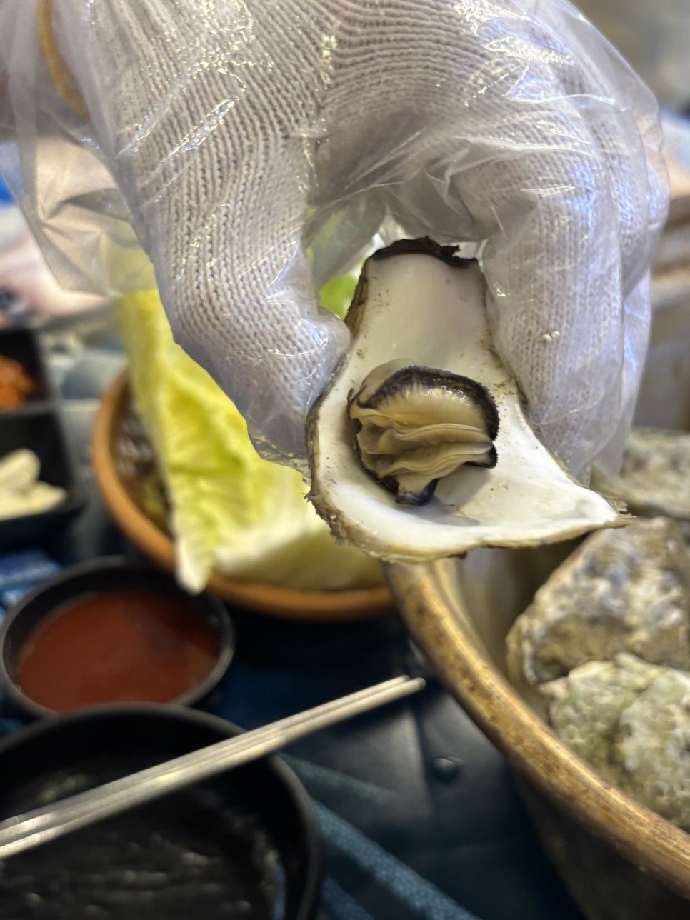 꼬꼬뱅이 사진 5