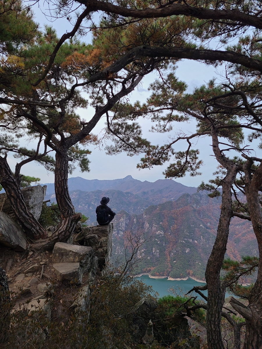 장회나루식당 이미지