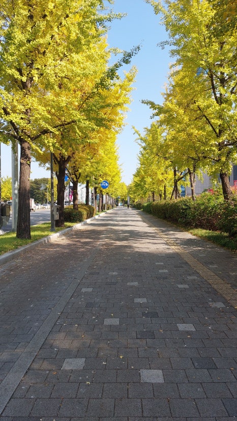 수제비와 보리밥세상 사진 7