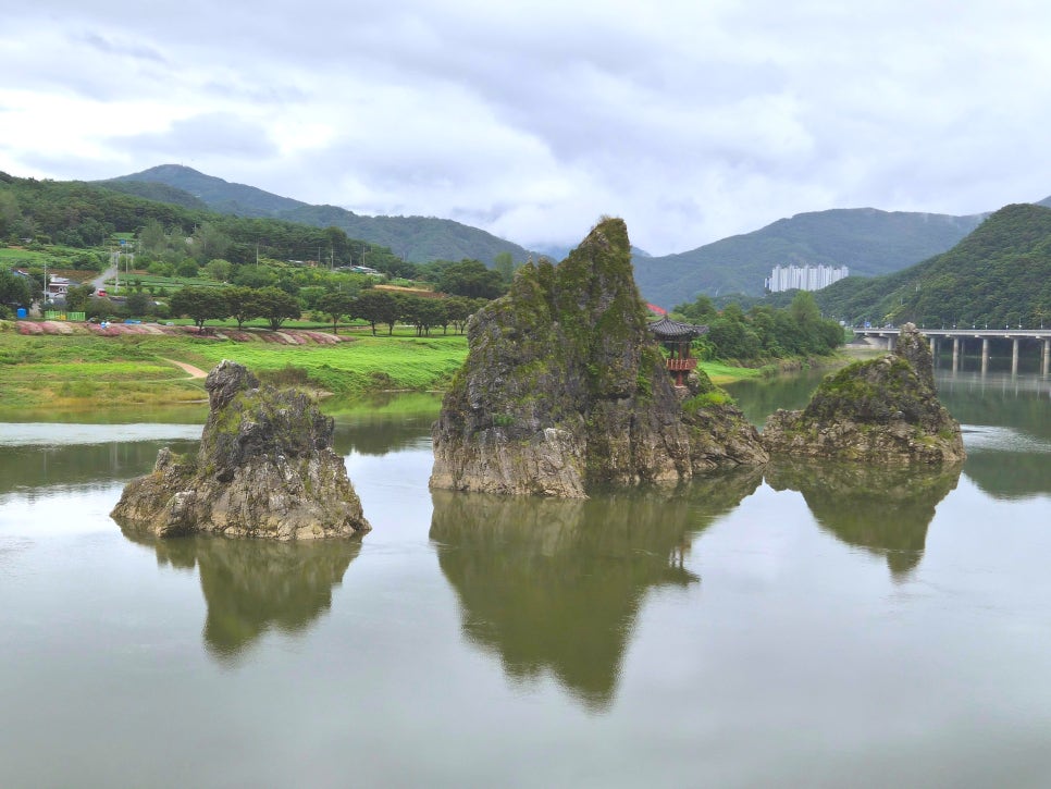 패러일번지 이미지