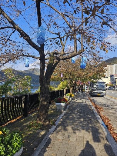 썸데이게스트하우스 이미지