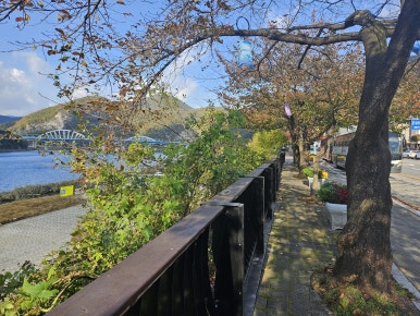 썸데이게스트하우스 이미지