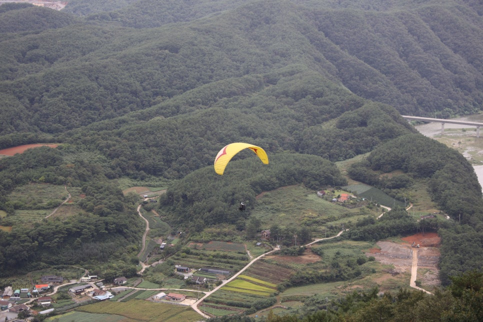 패러일번지 이미지