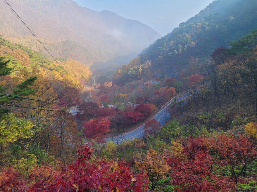 패러일번지 이미지