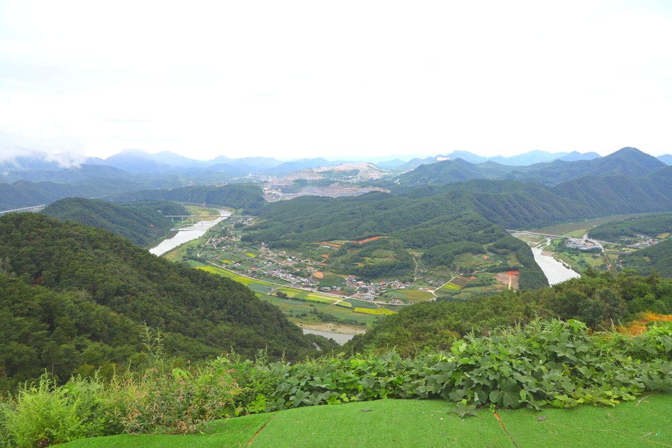 패러일번지 이미지