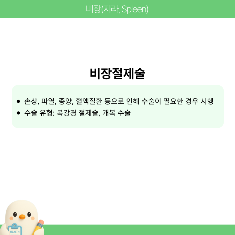 비장(지라 Spleen) 뜻 통증 위치 원인 한눈에! : 네이버 블로그