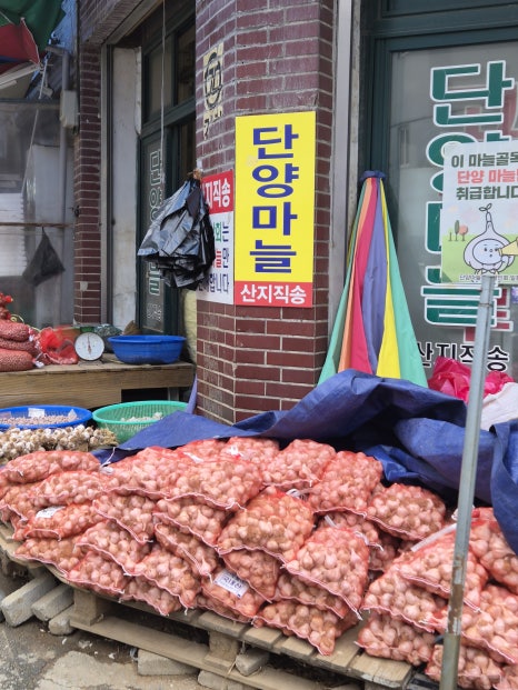 패러일번지 이미지