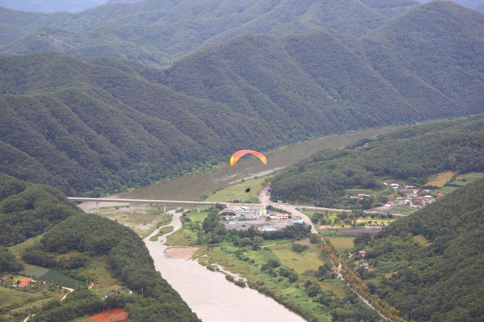 패러일번지 이미지