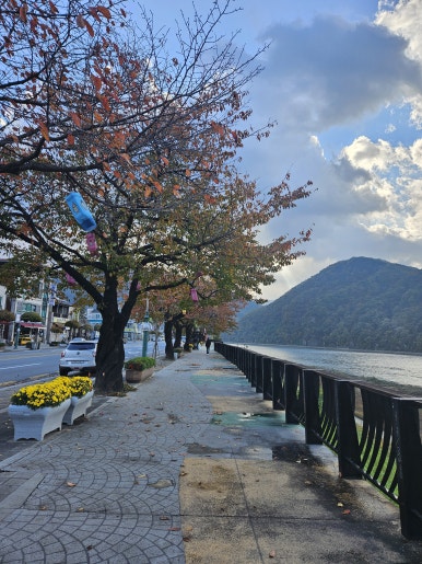 썸데이게스트하우스 이미지