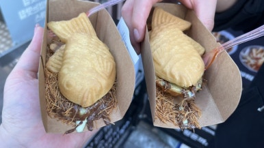 가주코리아 사진 5