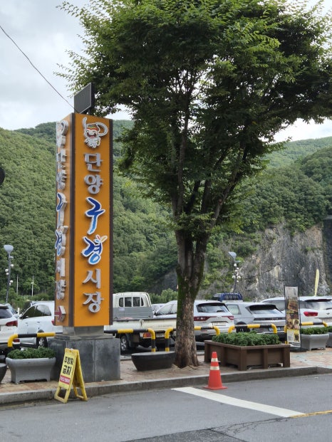 패러일번지 이미지