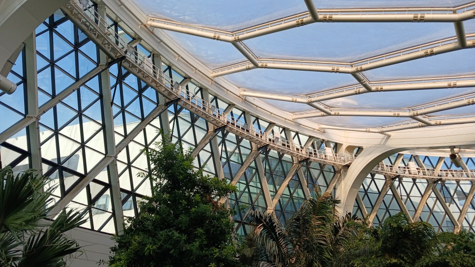 브로콜리 지역정보 관련 사진 10