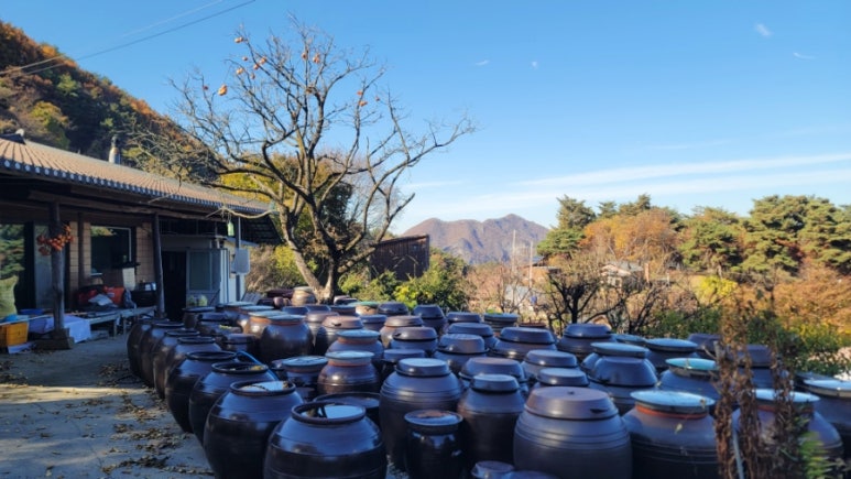 매리앤스가든 이미지