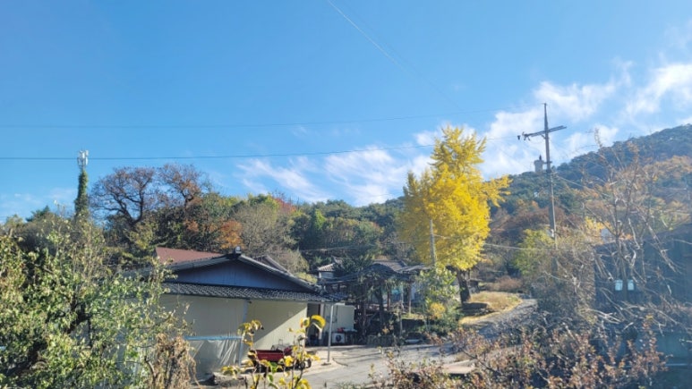 매리앤스가든 이미지