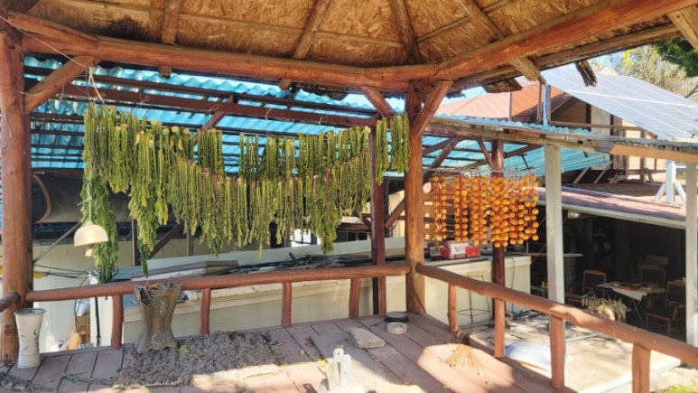 매리앤스가든 이미지