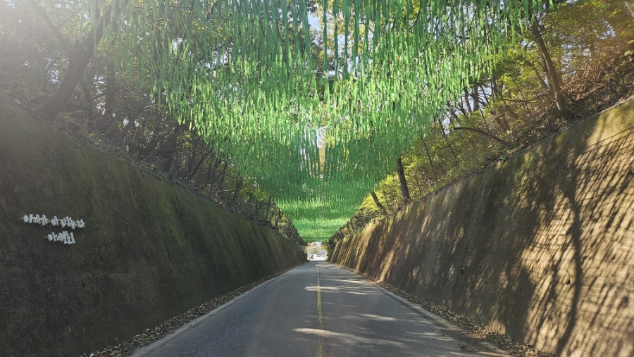 이끼터널 이미지