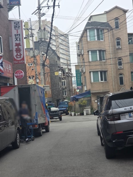 고고스윗 대표 사진