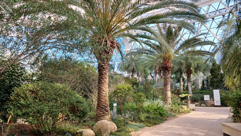 브로콜리 지역정보 관련 사진 6