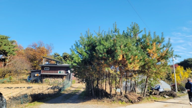 매리앤스가든 이미지