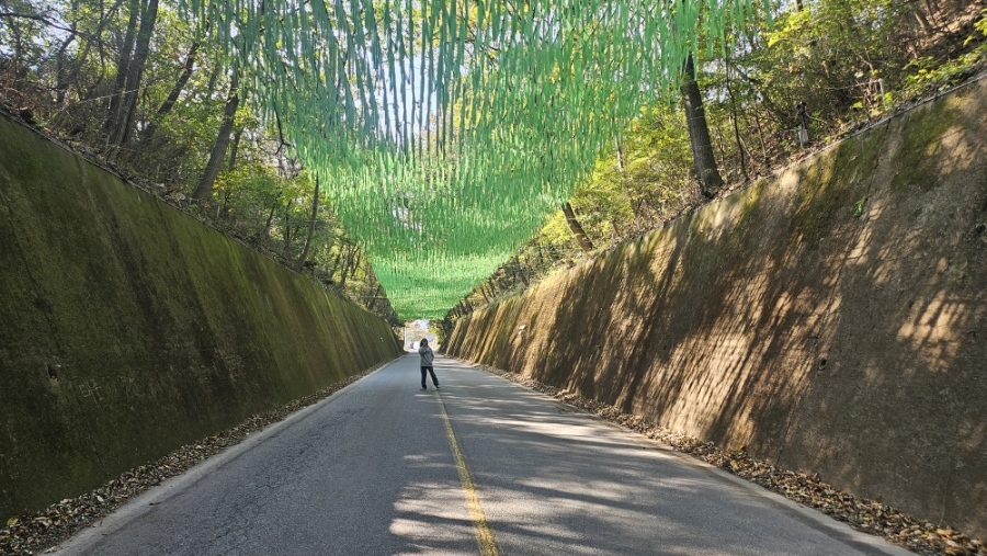 이끼터널 이미지