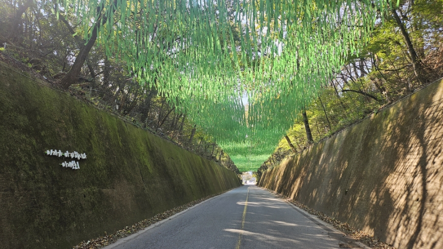 이끼터널 이미지