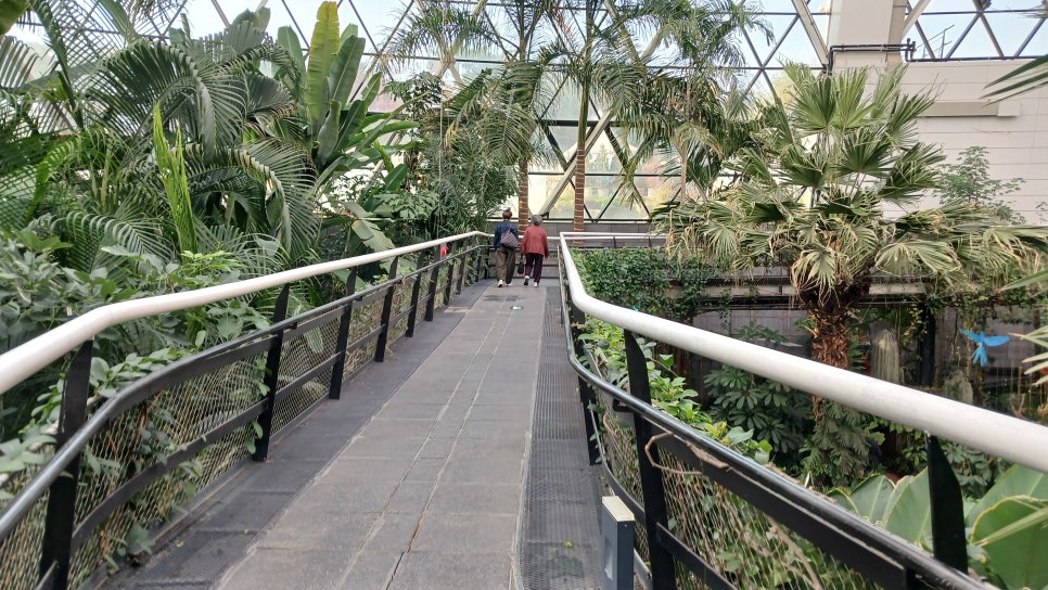 브로콜리 지역정보 관련 사진 9