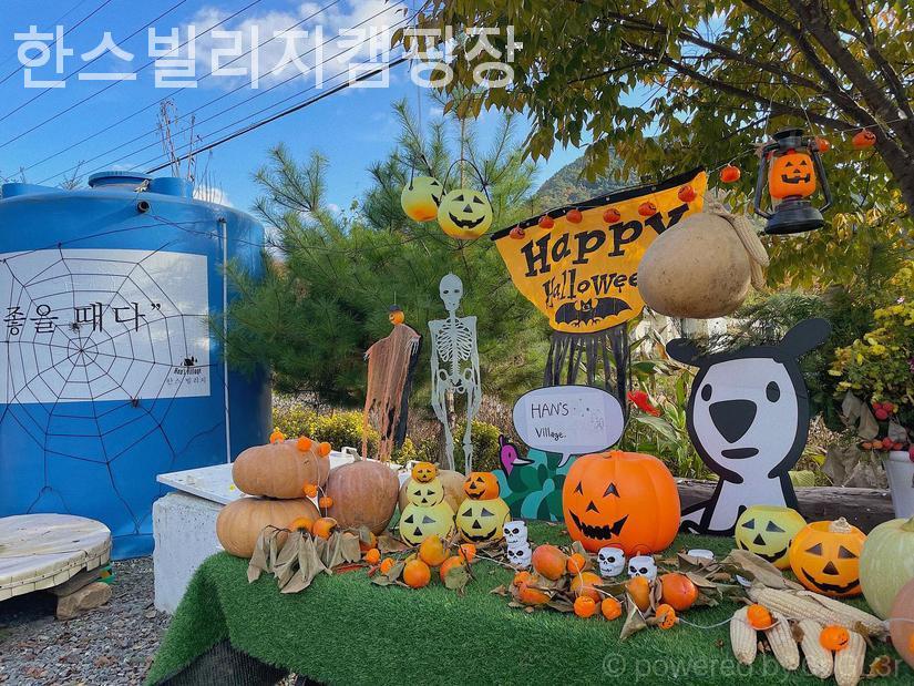 한스빌리지캠핑장 이미지