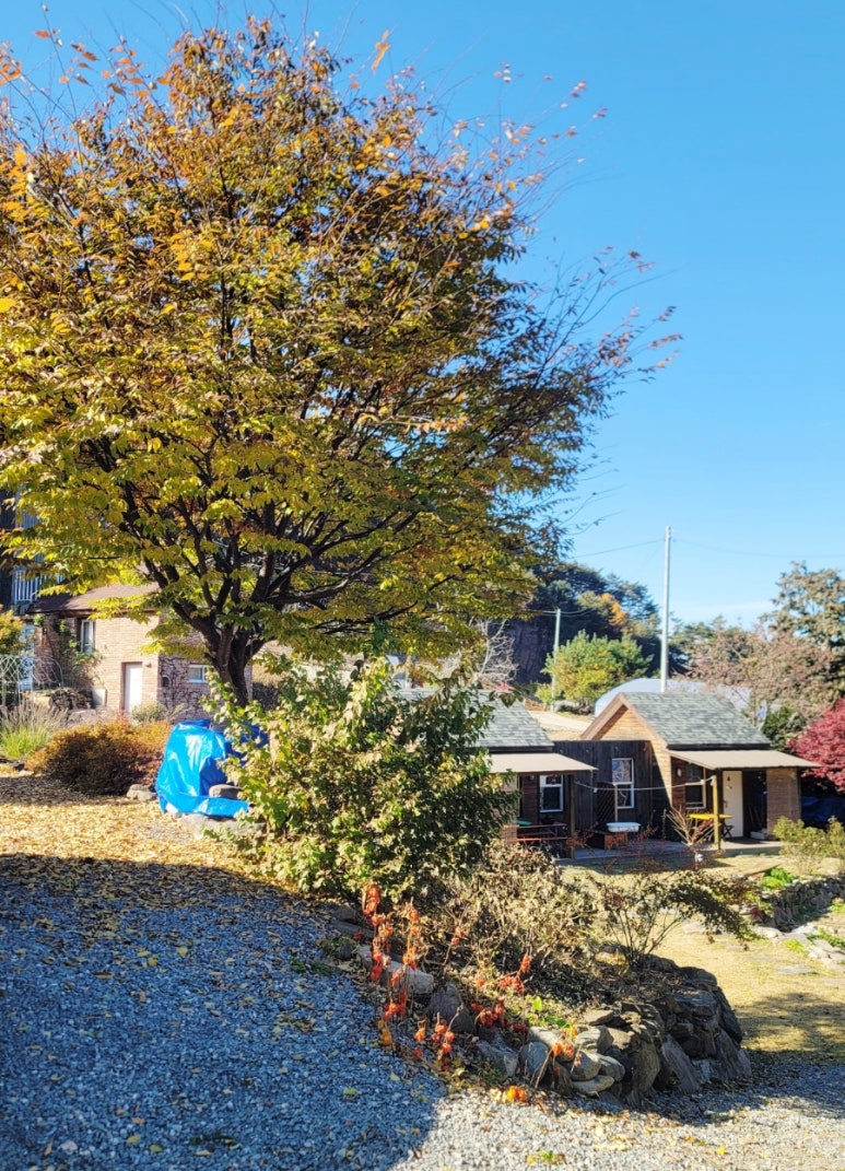 매리앤스가든 이미지