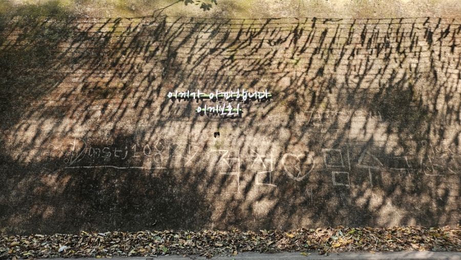 이끼터널 이미지